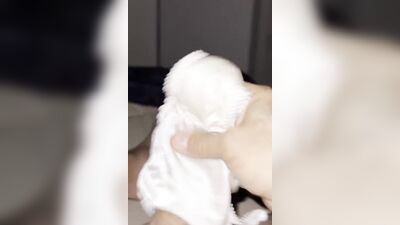 Horny dude is teasing his tiny pecker with a panties