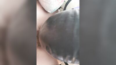 King wolf is sucking his bud's pecker in this close-up video