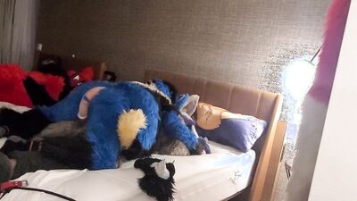 Sucario the Husky and his bud enjoy in some gay action
