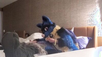 Sucario the Husky and his bud enjoy in some gay action