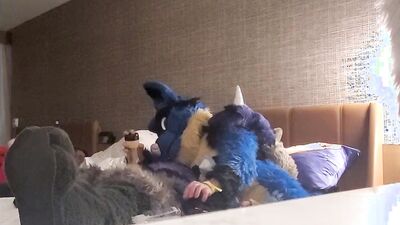 Sucario the Husky and his bud enjoy in some gay action