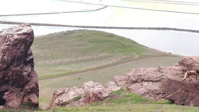Nature stroke at the California Hills.