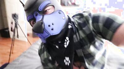 Daddy Pup Submits to Boy Pup