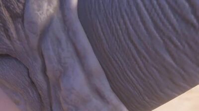 Twink Guy Fucks with two Huge Furry (POV)