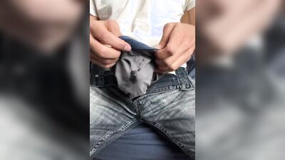 Clothed Boner and Precum Play