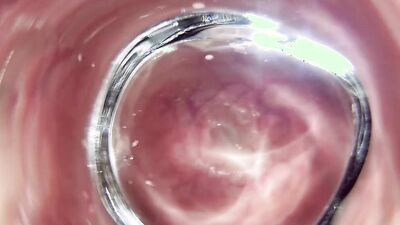 Glass butt plug inside look V2