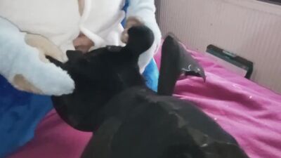 Eryk and Toothless