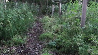 OUTDOOR JOGGING IN VEST NO SHORTS