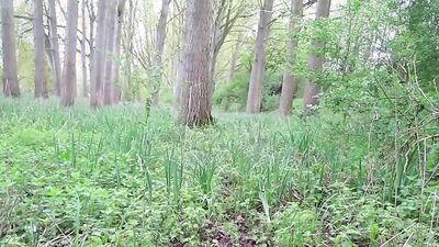 NAKED WALK OUTDOORS FROM START TO FINISH
