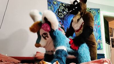 Dog bangs a fox and cums on his face - Fursuit yiff