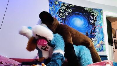 Dog bangs a fox and cums on his face - Fursuit yiff