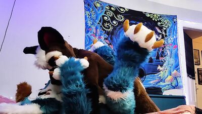 Dog bangs a fox and cums on his face - Fursuit yiff