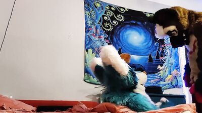 Dog bangs a fox and cums on his face - Fursuit yiff