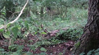 outdoors worn out y fronts hiking walk to naked