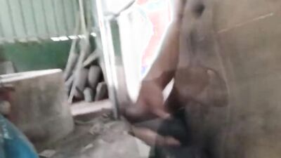 Beautiful horny most pleasurable cum I ever had before taking bath