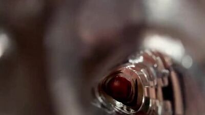 Jerk off with flashlight and cum inside.