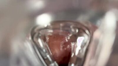 Jerk off with flashlight and cum inside.