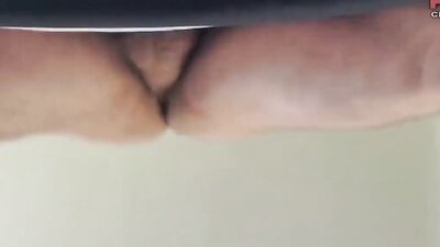 Pounded Hard and Bred