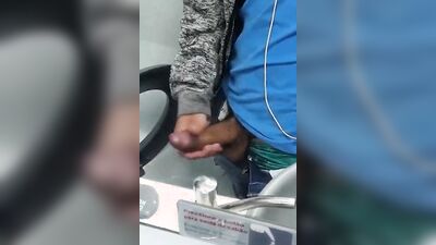 Sex in the airplane toilet