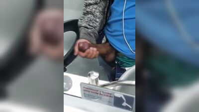 Sex in the airplane toilet