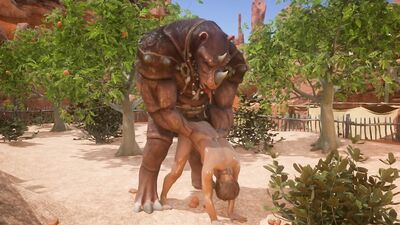 Rhinoceros fucks his boy