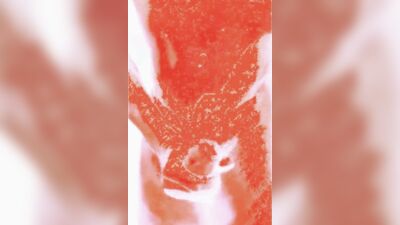 Lava-hot alien jock caught jerking off