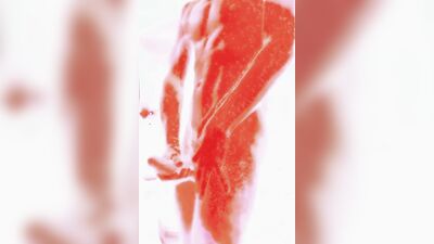 Lava-hot alien jock caught jerking off