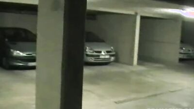 Jess ROYAN fucked in pubilic parlin,g in the night