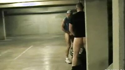 Jess ROYAN fucked in pubilic parlin,g in the night