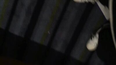 Coleman Cross Muscle Asian Daddy Rex Incognito Wild Bottom Cumshot Sucking