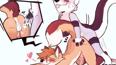 Gay Furry Compilation - #2