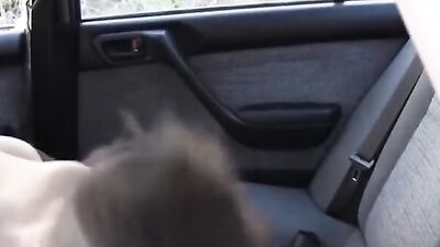 Euro ks take a road trip and ass fuck wildly in the car