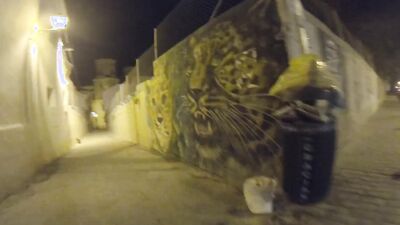 Horny Night Walk. Thick Cock Flashing & Cumming on Public