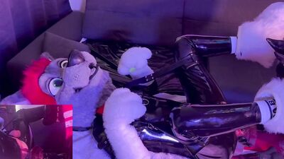 Latex puppy in Fursuit gets used on the sofa very hard ( XL Toys and Fisting) - Double Pov