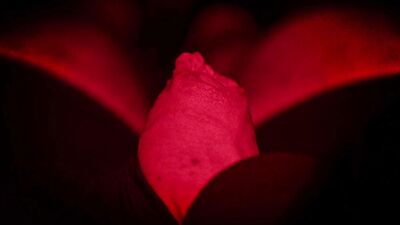 Cinematic Slow Mo Toy Massager Jerk
