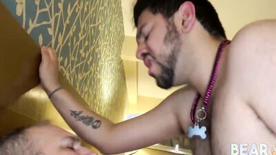 BEARFILMS Daddy Devan Roy Drills Poppy Agyo After Blowjob
