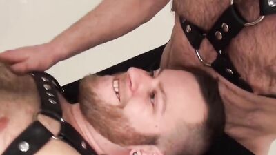 Chubby Cub Raw Bred By Bears In 3some
