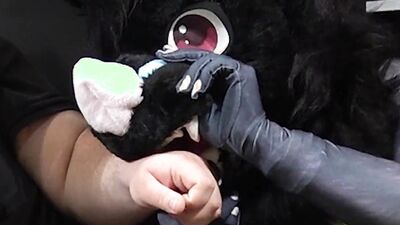 WHAT DOES FURRY SEX SMELL LIKE?!?