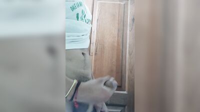 LARGE SIZE PENIS OF YOUNG MAN MASTURBATING IN CLOSEUP