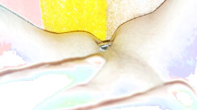 My POV #131 Dildo & buttplug