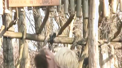 German Gay Teens Fucking Outdoors