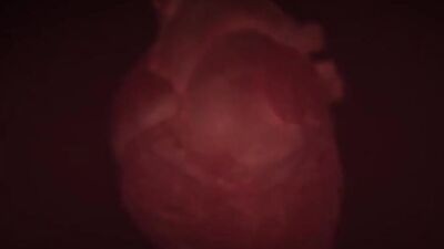 Birth Of A New God (Penis Expansion)