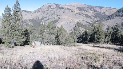 Fall Mountain Hike - Part 2: The Hike