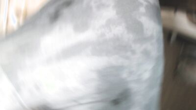 Young guy's penis close-up in live stream