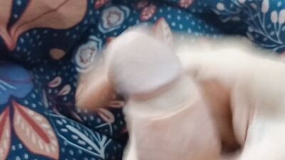 Long, long handjob with good cumshot