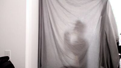 BJ & anal play behind a curtain. You can only see the shadow