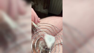 Hot wax