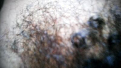 Hairy wiggling for you! I'm from you!