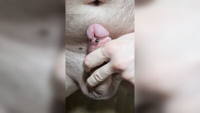 Milking my cock to ejaculation
