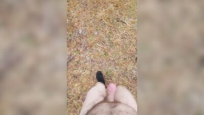 Walking around the park